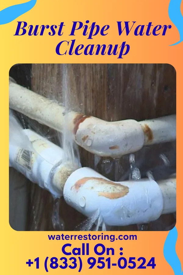 Burst Pipe Water Cleanup in Nixon, TX