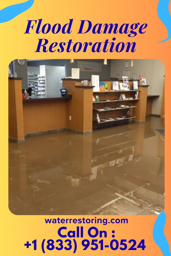 Flood Damage Restoration in Nixon, TX